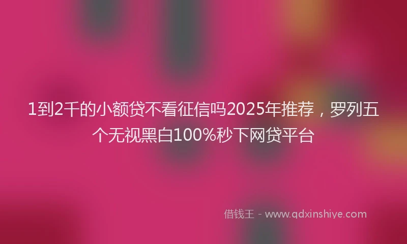 1到2千的小额贷不看征信吗2025年推荐，罗列五个无视黑白100%秒下网贷平台