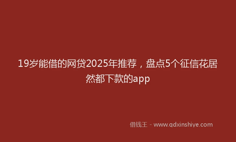 19岁能借的网贷2025年推荐，盘点5个征信花居然都下款的app