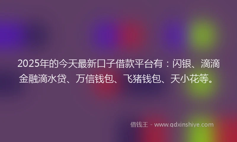 2025年的今天最新口子借款平台有：闪银、滴滴金融滴水贷、万信钱包、飞猪钱包、天小花等。