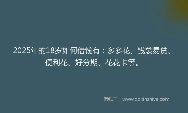 2025年的18岁如何借钱有：多多花、钱袋易贷、便利花、好分期、花花卡等。
