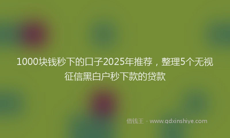 1000块钱秒下的口子2025年推荐，整理5个无视征信黑白户秒下款的贷款