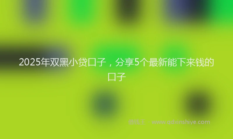 2025年双黑小贷口子，分享5个最新能下来钱的口子