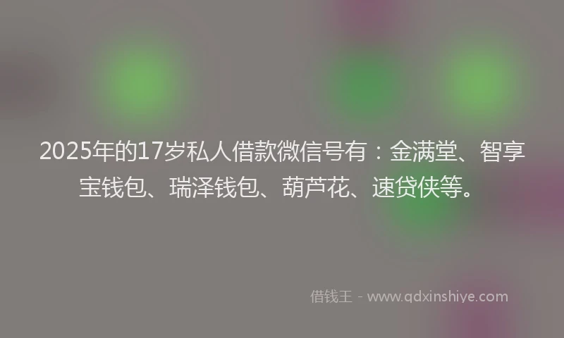 2025年的17岁私人借款微信号有：金满堂、智享宝钱包、瑞泽钱包、葫芦花、速贷侠等。