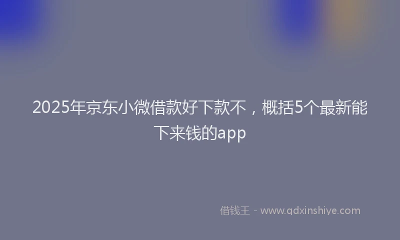 2025年京东小微借款好下款不，概括5个最新能下来钱的app