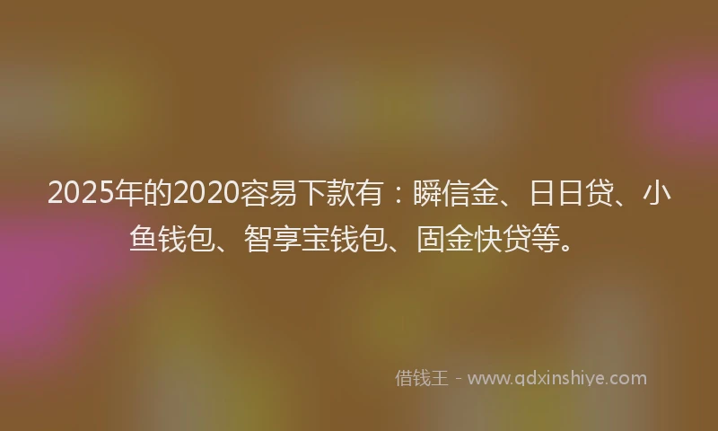 2025年的2020容易下款有：瞬信金、日日贷、小鱼钱包、智享宝钱包、固金快贷等。