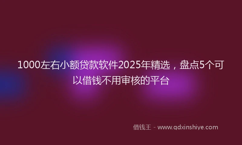 1000左右小额贷款软件2025年精选，盘点5个可以借钱不用审核的平台