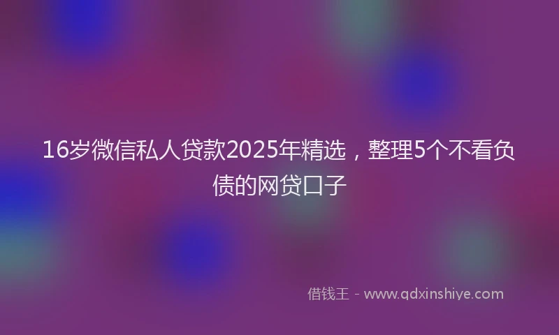 16岁微信私人贷款2025年精选，整理5个不看负债的网贷口子