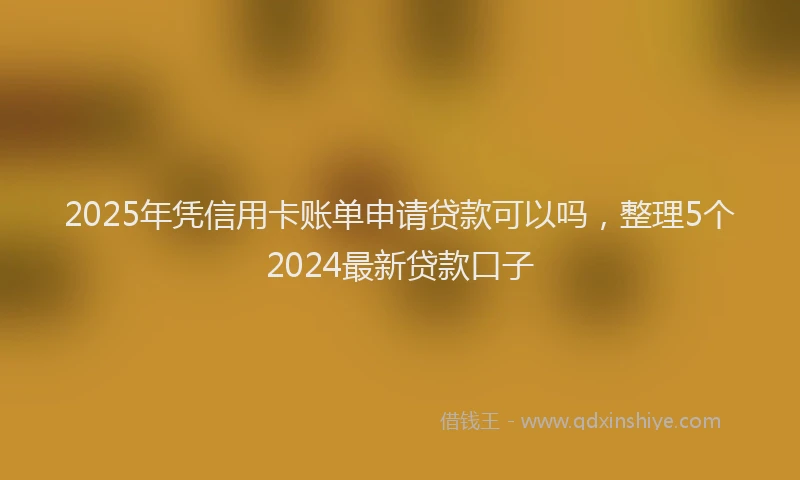 2025年凭信用卡账单申请贷款可以吗，整理5个2024最新贷款口子