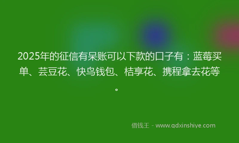 2025年的征信有呆账可以下款的口子有：蓝莓买单、芸豆花、快鸟钱包、桔享花、携程拿去花等。