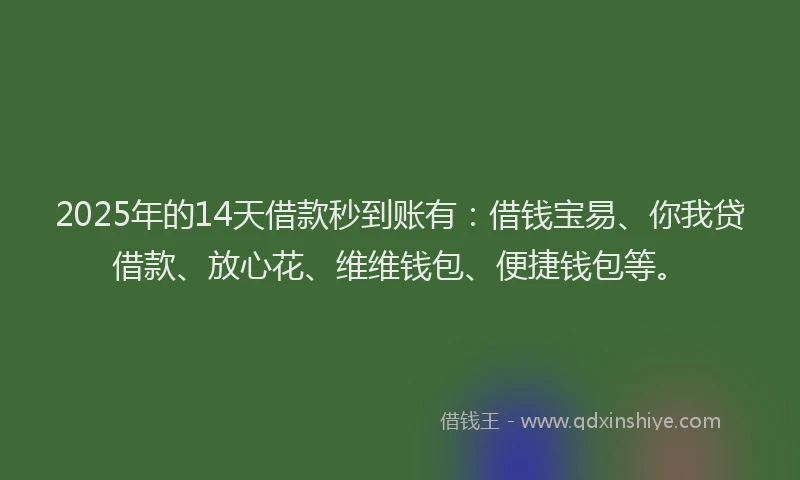 2025年的14天借款秒到账有：借钱宝易、你我贷借款、放心花、维维钱包、便捷钱包等。