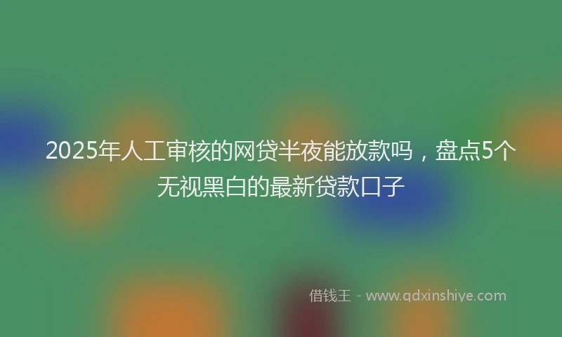 2025年人工审核的网贷半夜能放款吗，盘点5个无视黑白的最新贷款口子