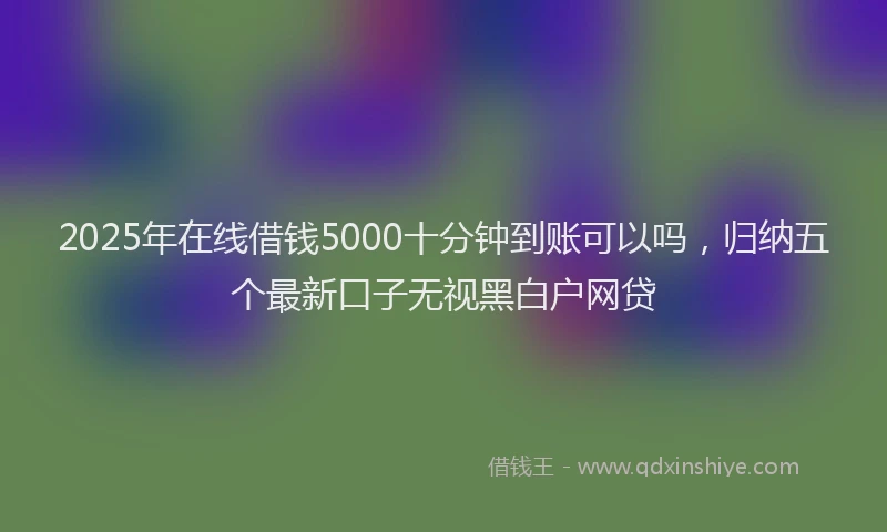 2025年在线借钱5000十分钟到账可以吗，归纳五个最新口子无视黑白户网贷