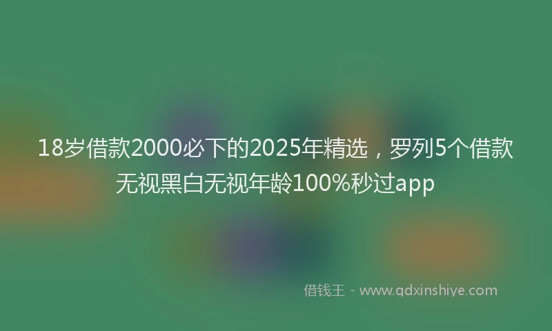 18岁借款2000必下的2025年精选，罗列5个借款无视黑白无视年龄100%秒过app