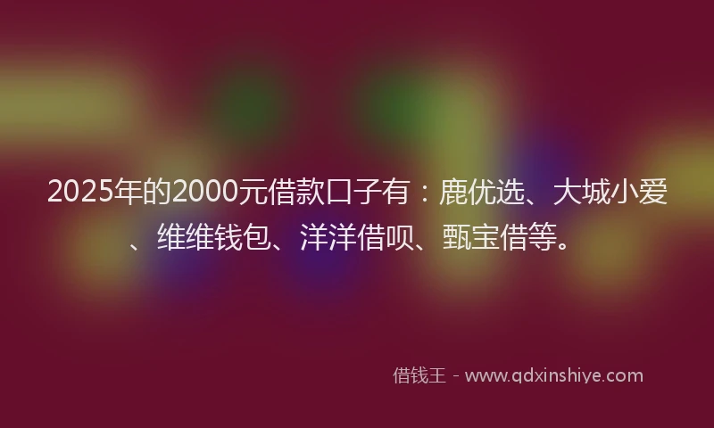 2025年的2000元借款口子有：鹿优选、大城小爱、维维钱包、洋洋借呗、甄宝借等。