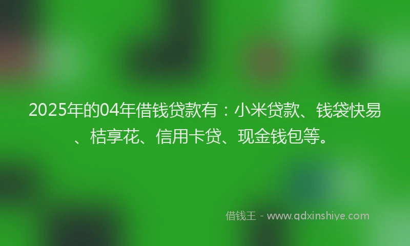 2025年的04年借钱贷款有：小米贷款、钱袋快易、桔享花、信用卡贷、现金钱包等。