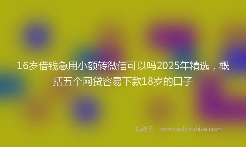 16岁借钱急用小额转微信可以吗2025年精选，概括五个网贷容易下款18岁的口子