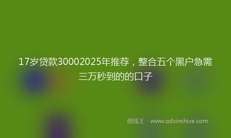 17岁贷款30002025年推荐，整合五个黑户急需三万秒到的的口子