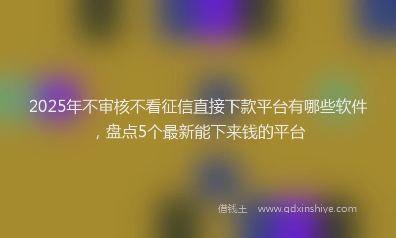 2025年不审核不看征信直接下款平台有哪些软件，盘点5个最新能下来钱的平台
