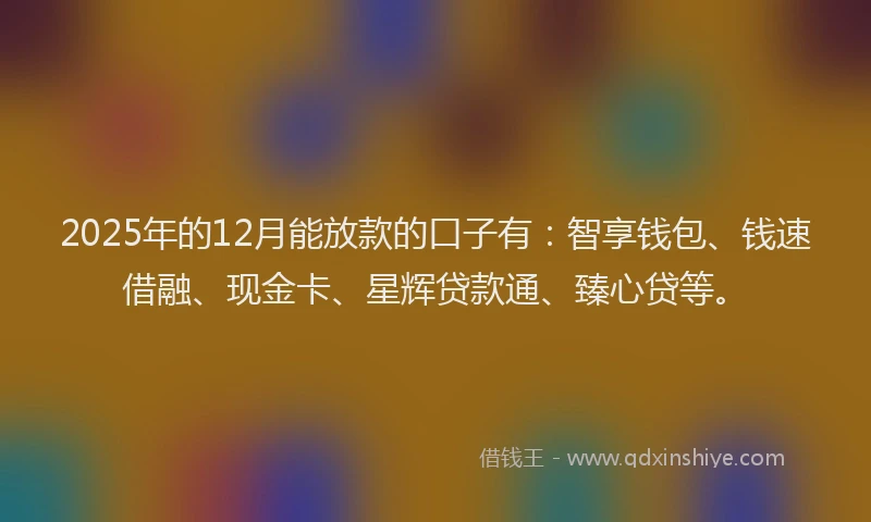 2025年的12月能放款的口子有：智享钱包、钱速借融、现金卡、星辉贷款通、臻心贷等。
