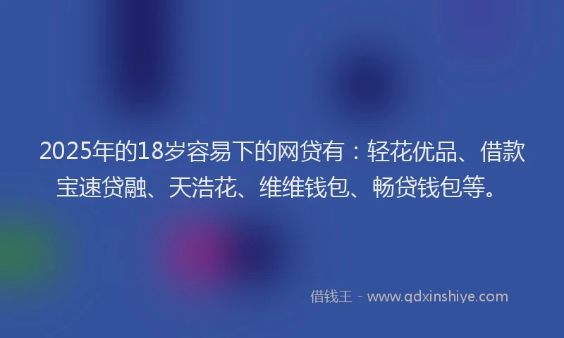 2025年的18岁容易下的网贷有：轻花优品、借款宝速贷融、天浩花、维维钱包、畅贷钱包等。
