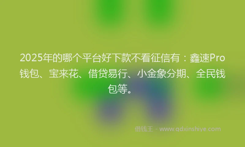 2025年的哪个平台好下款不看征信有：鑫速Pro钱包、宝来花、借贷易行、小金象分期、全民钱包等。