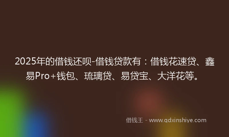 2025年的借钱还呗-借钱贷款有：借钱花速贷、鑫易Pro+钱包、琉璃贷、易贷宝、大洋花等。