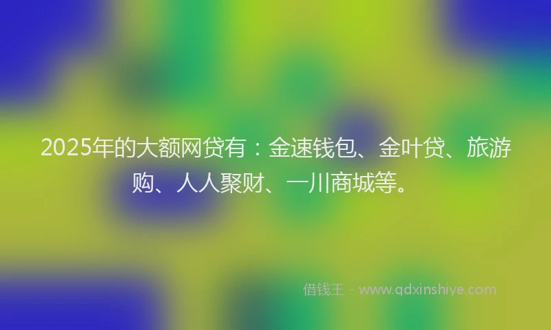 2025年的大额网贷有：金速钱包、金叶贷、旅游购、人人聚财、一川商城等。