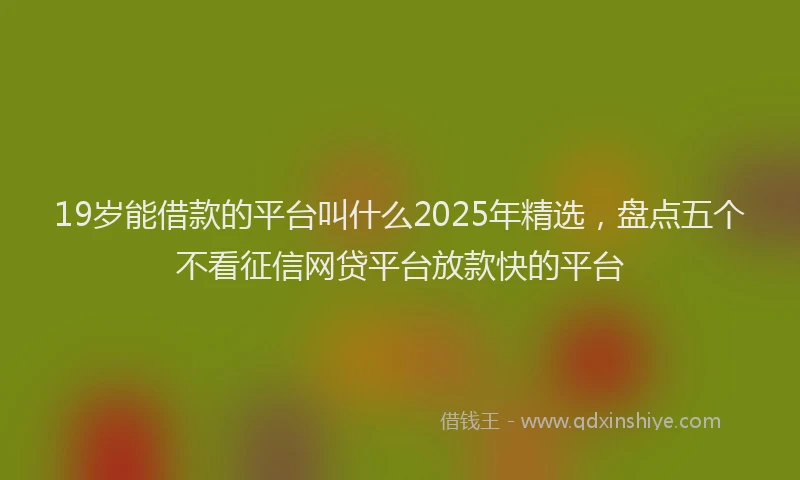 19岁能借款的平台叫什么2025年精选，盘点五个不看征信网贷平台放款快的平台