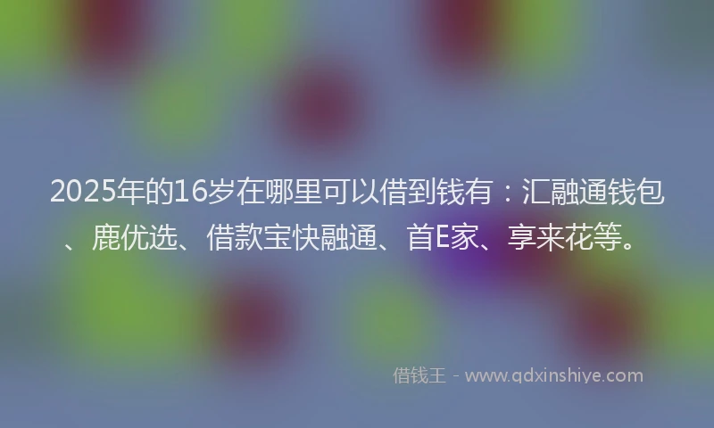 2025年的16岁在哪里可以借到钱有：汇融通钱包、鹿优选、借款宝快融通、首E家、享来花等。