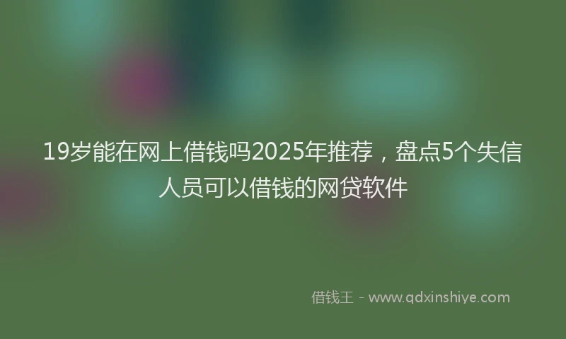 19岁能在网上借钱吗2025年推荐，盘点5个失信人员可以借钱的网贷软件