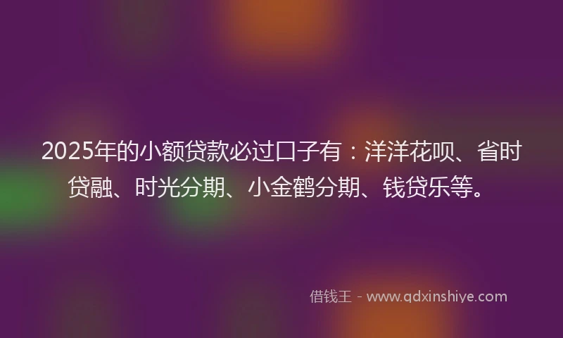 2025年的小额贷款必过口子有：洋洋花呗、省时贷融、时光分期、小金鹤分期、钱贷乐等。