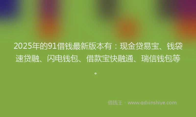 2025年的91借钱最新版本有：现金贷易宝、钱袋速贷融、闪电钱包、借款宝快融通、瑞信钱包等。