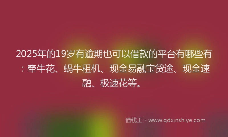 2025年的19岁有逾期也可以借款的平台有哪些有：牵牛花、蜗牛租机、现金易融宝贷途、现金速融、极速花等。