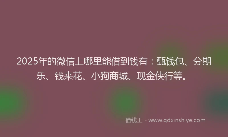 2025年的微信上哪里能借到钱有：甄钱包、分期乐、钱来花、小狗商城、现金侠行等。