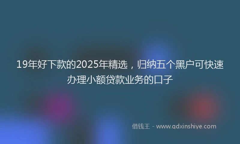 19年好下款的2025年精选，归纳五个黑户可快速办理小额贷款业务的口子