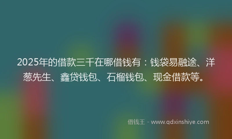 2025年的借款三千在哪借钱有：钱袋易融途、洋葱先生、鑫贷钱包、石榴钱包、现金借款等。