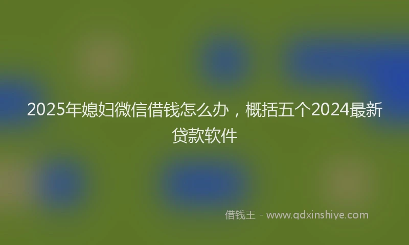 2025年媳妇微信借钱怎么办，概括五个2024最新贷款软件