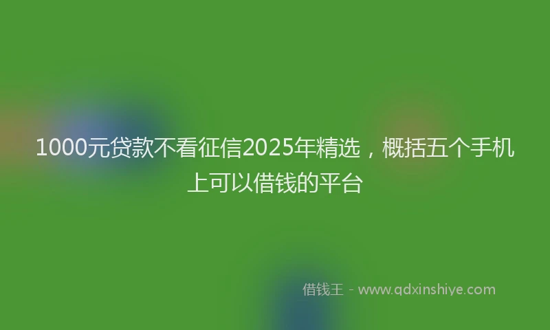 1000元贷款不看征信2025年精选，概括五个手机上可以借钱的平台