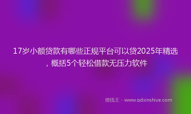 17岁小额贷款有哪些正规平台可以贷2025年精选，概括5个轻松借款无压力软件