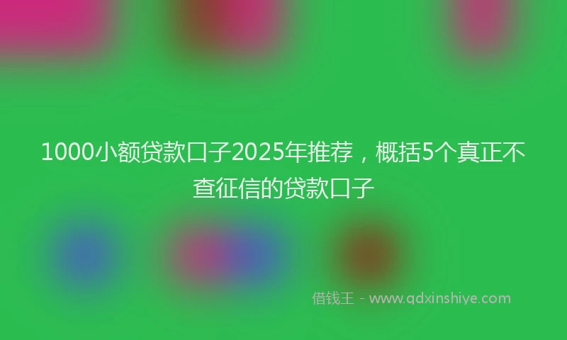 1000小额贷款口子2025年推荐，概括5个真正不查征信的贷款口子