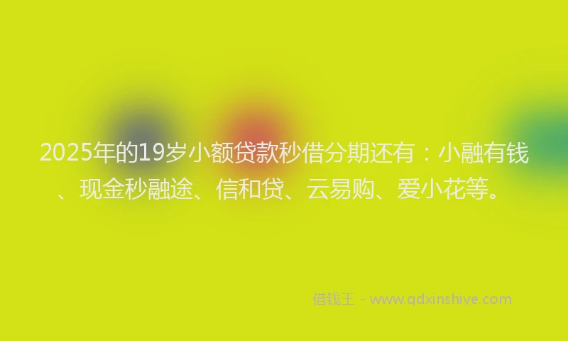 2025年的19岁小额贷款秒借分期还有：小融有钱、现金秒融途、信和贷、云易购、爱小花等。