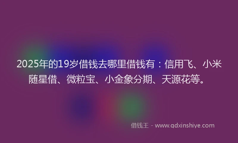 2025年的19岁借钱去哪里借钱有：信用飞、小米随星借、微粒宝、小金象分期、天源花等。