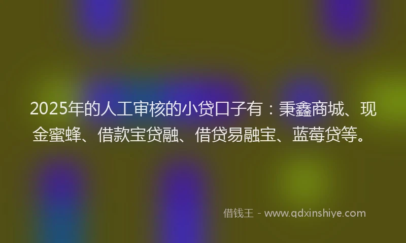 2025年的人工审核的小贷口子有：秉鑫商城、现金蜜蜂、借款宝贷融、借贷易融宝、蓝莓贷等。