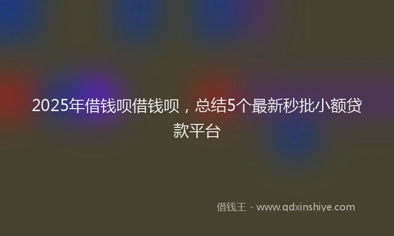 2025年借钱呗借钱呗，总结5个最新秒批小额贷款平台