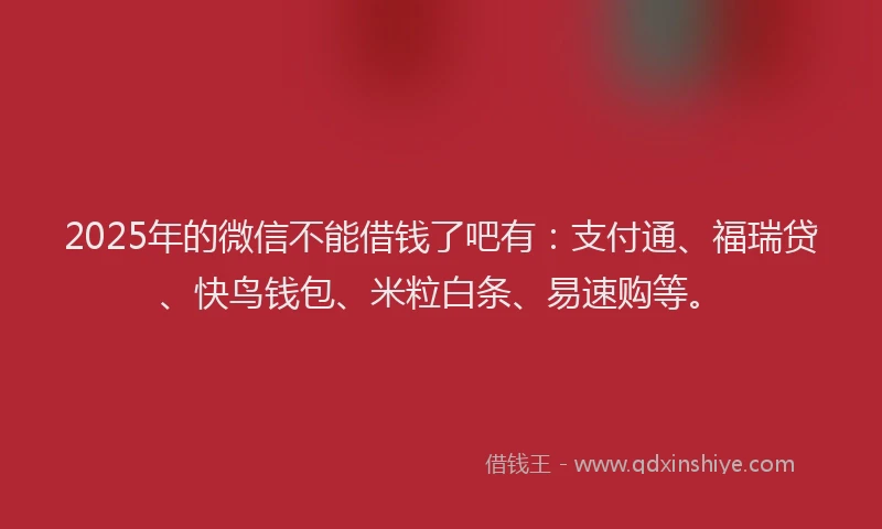 2025年的微信不能借钱了吧有：支付通、福瑞贷、快鸟钱包、米粒白条、易速购等。