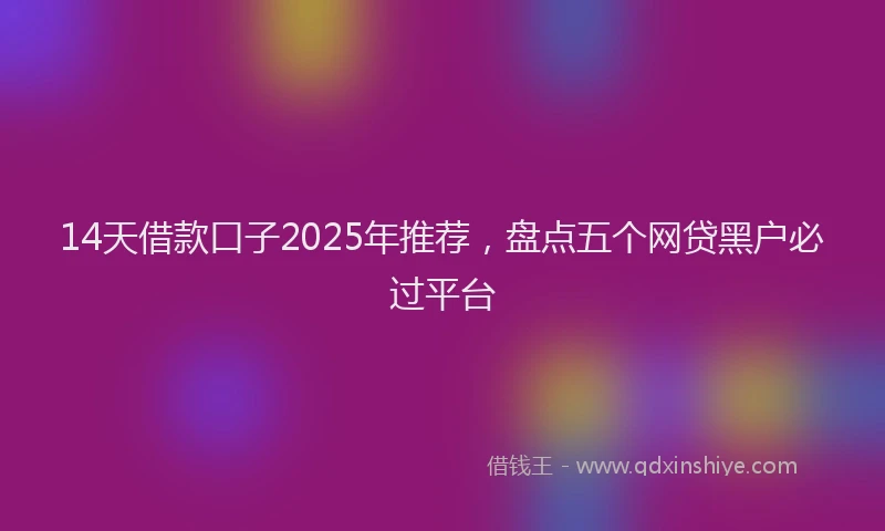 14天借款口子2025年推荐，盘点五个网贷黑户必过平台