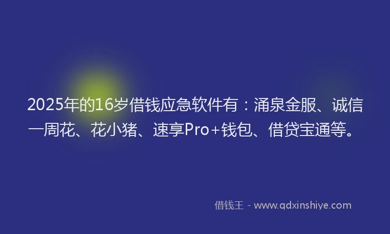 2025年的16岁借钱应急软件有：涌泉金服、诚信一周花、花小猪、速享Pro+钱包、借贷宝通等。