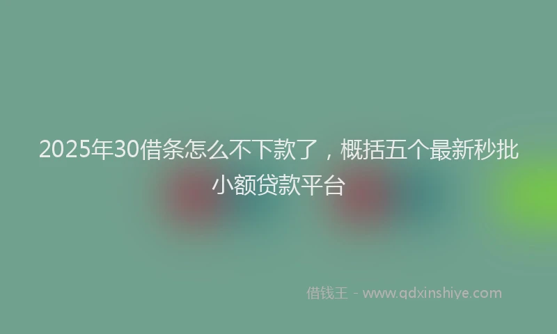 2025年30借条怎么不下款了，概括五个最新秒批小额贷款平台