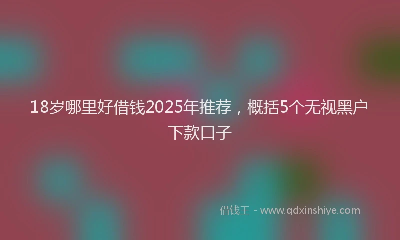 18岁哪里好借钱2025年推荐，概括5个无视黑户下款口子