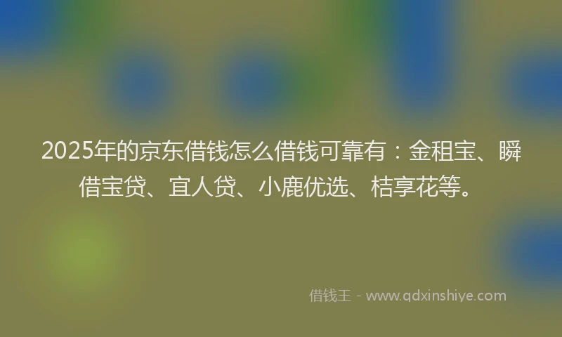 2025年的京东借钱怎么借钱可靠有：金租宝、瞬借宝贷、宜人贷、小鹿优选、桔享花等。